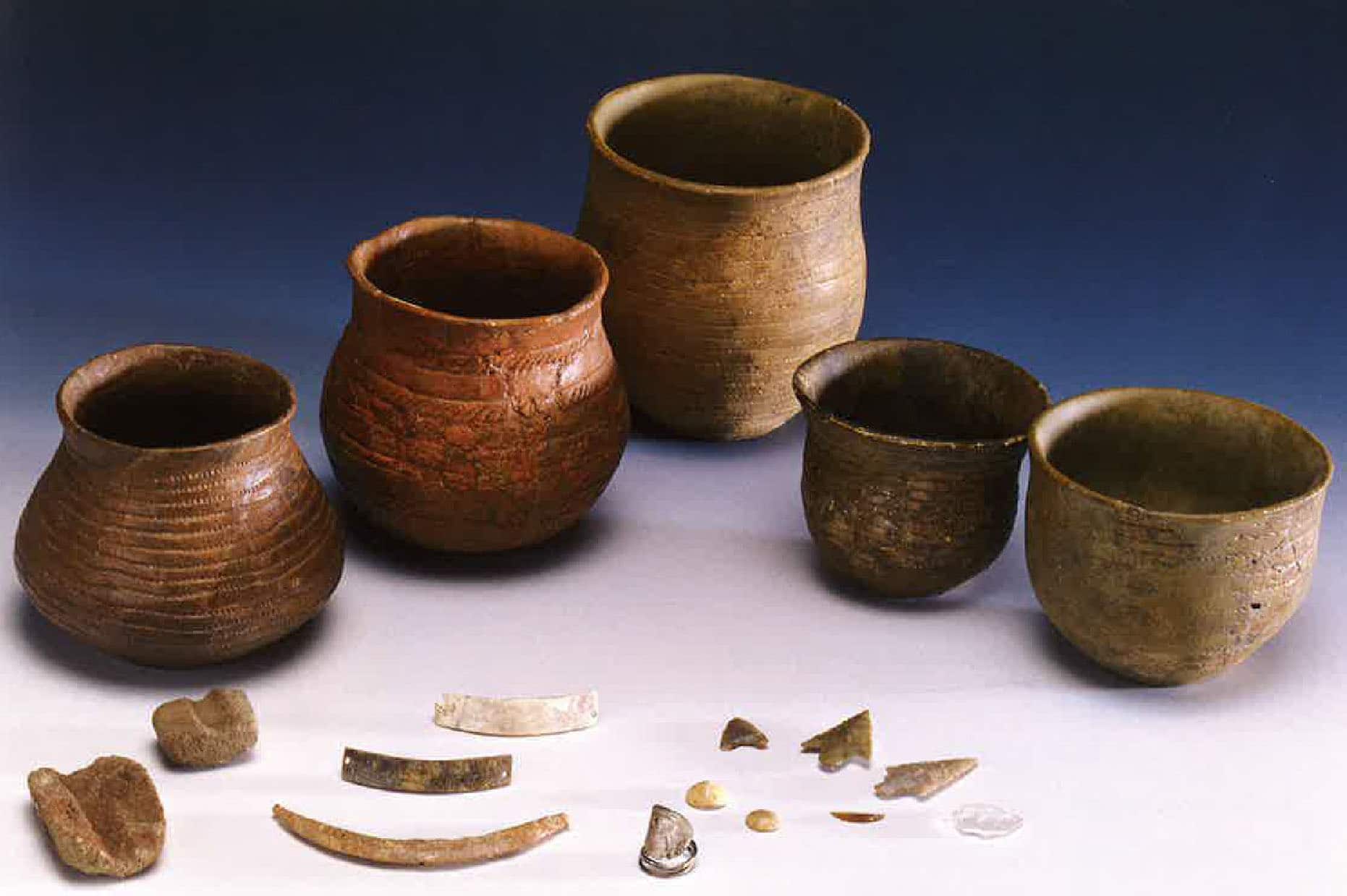 Ancient Beaker Folk Took Over Early Britain - Nature World Today