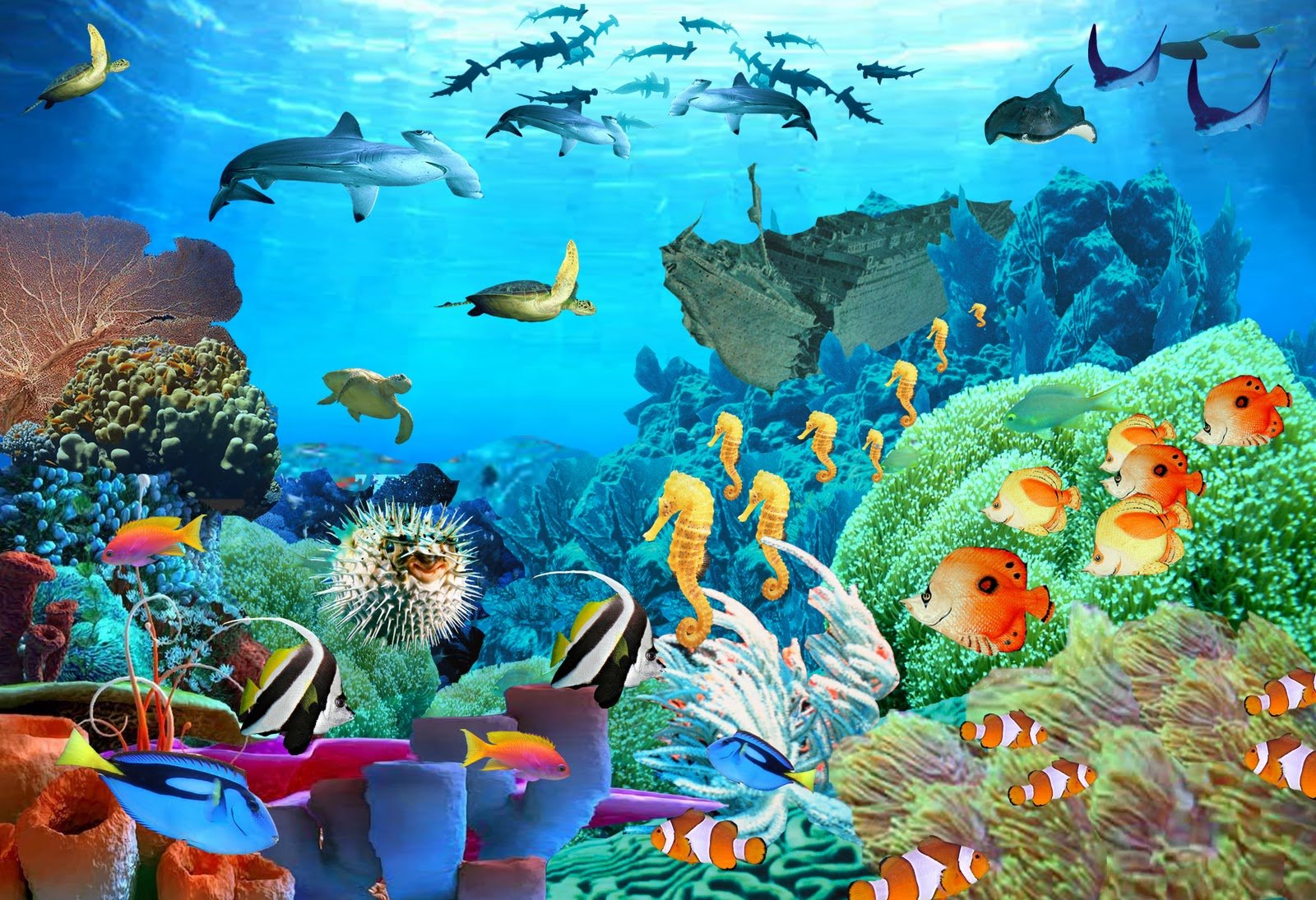 What Animals Live In The Aquatic Ecosystem