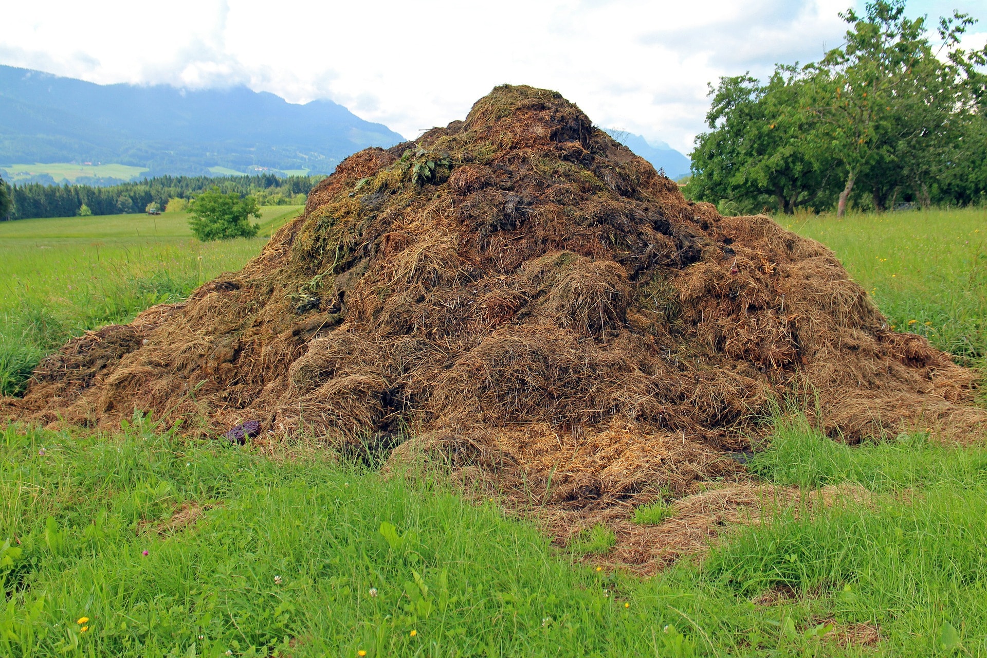 How Composting Helps the Environment