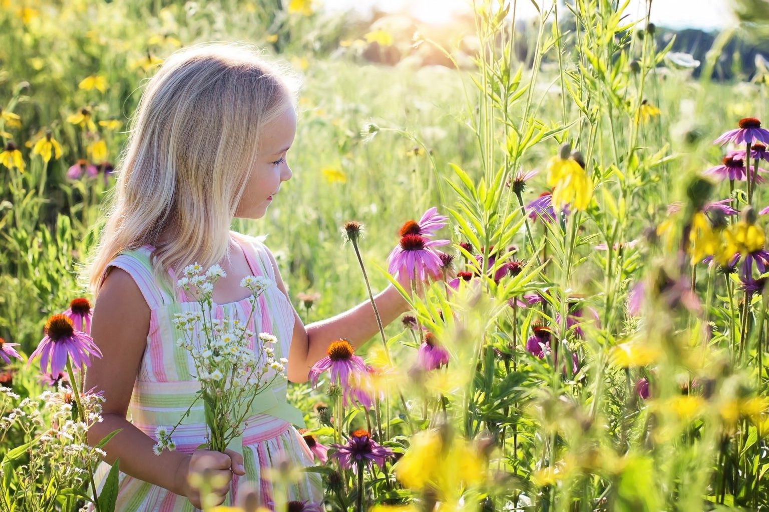 Conservation Programs That Help Kids Connect With Nature