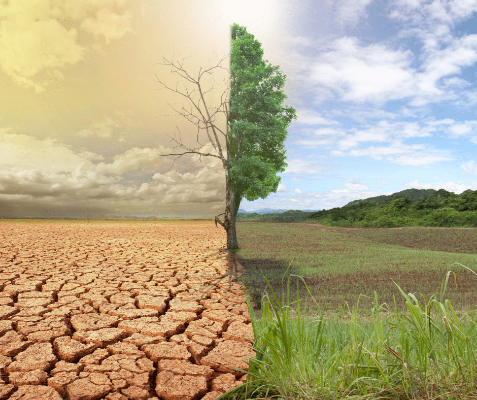 Why Is Global Warming Happening Nature World Today