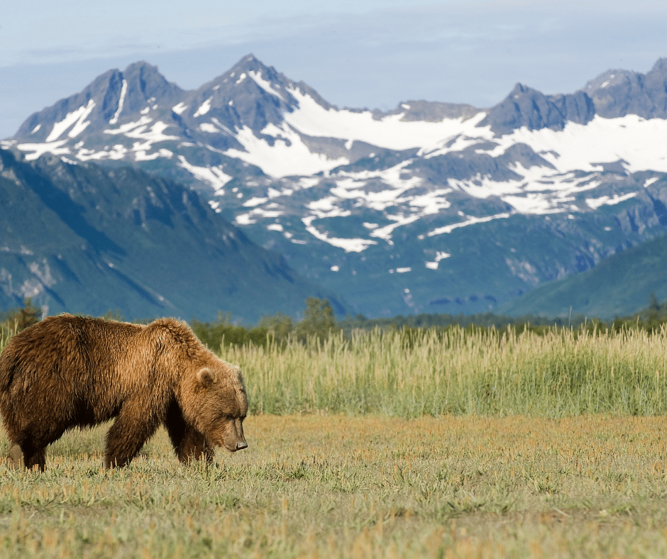 How Many Days Does Alaska Have No Sun