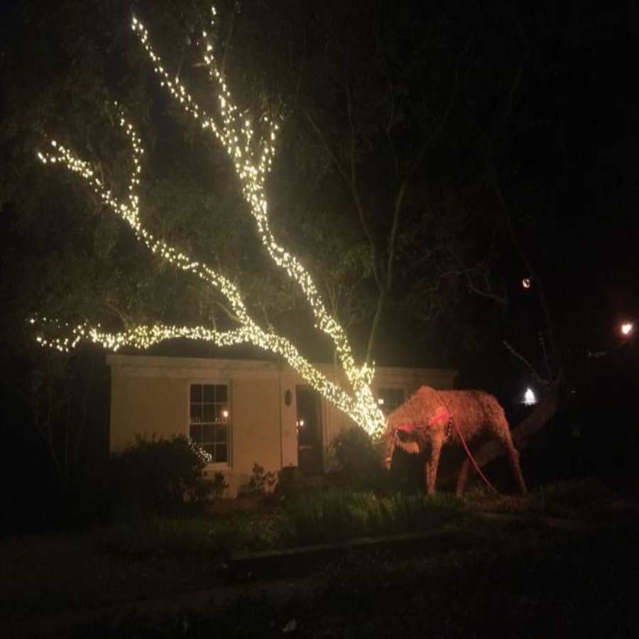 Moments When Original Christmas Decorations Stole The Show – Page 22