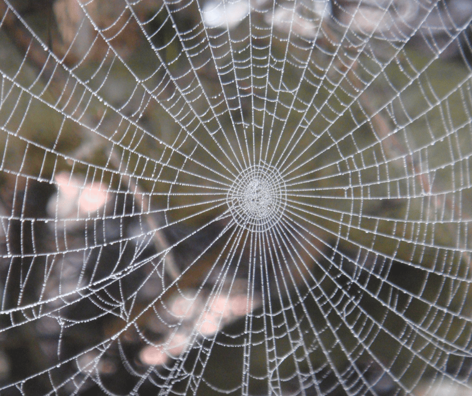 What are some of the best rare natural phenomena that occur on Earth?