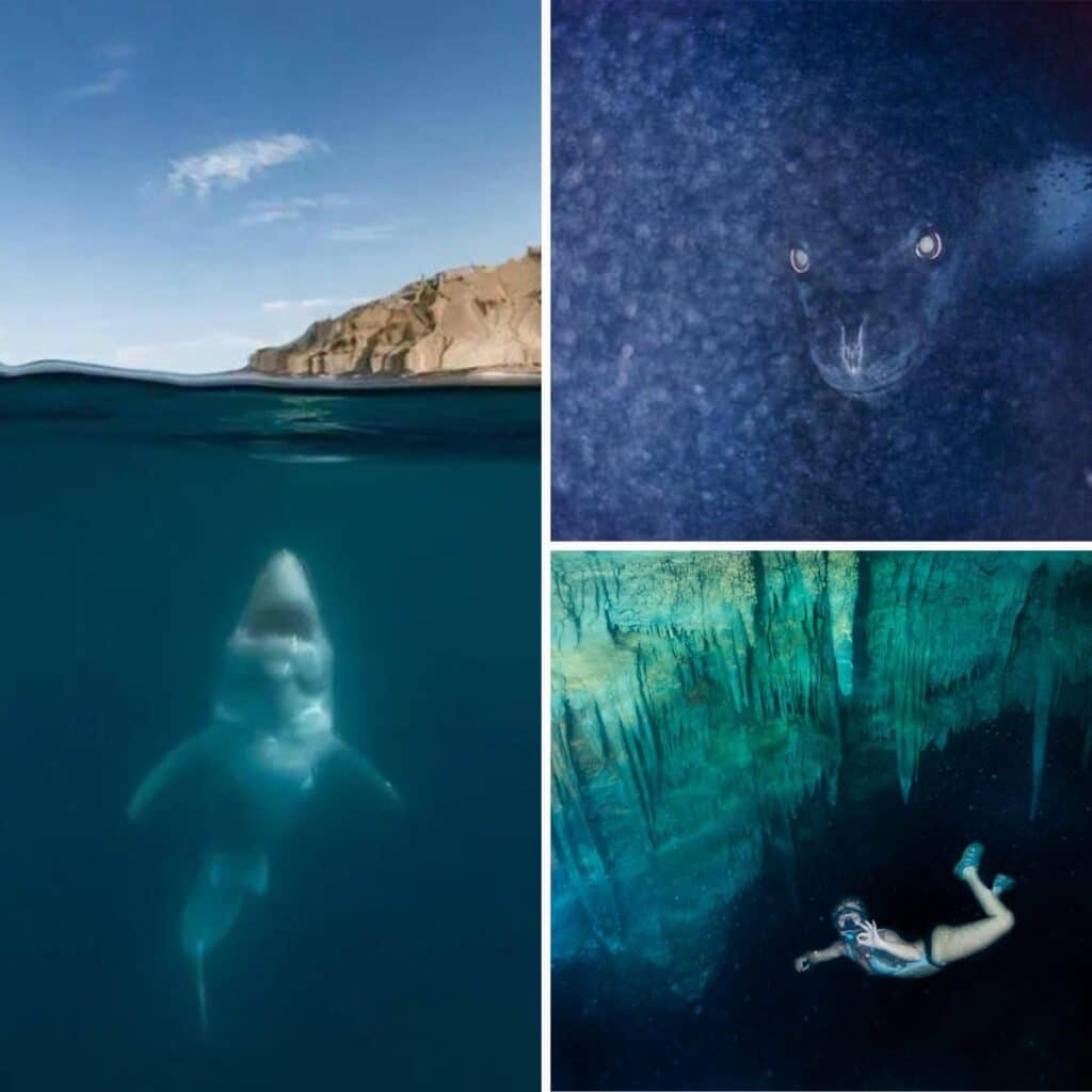 Pictures That Show Why Thalassophobia Or Fear Of The Deep Sea Is A Pictures That Show Why Thalassophobia Or Fear Of The Deep Sea Is A