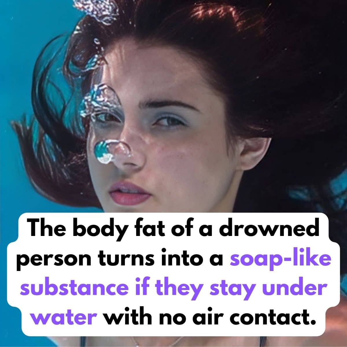 We Wish Someone Would Have Warned About These Unbelievable Facts – Page 63