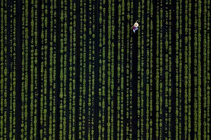 Deceptive Photos That Demand A Double Take A Journey Through Optical ...